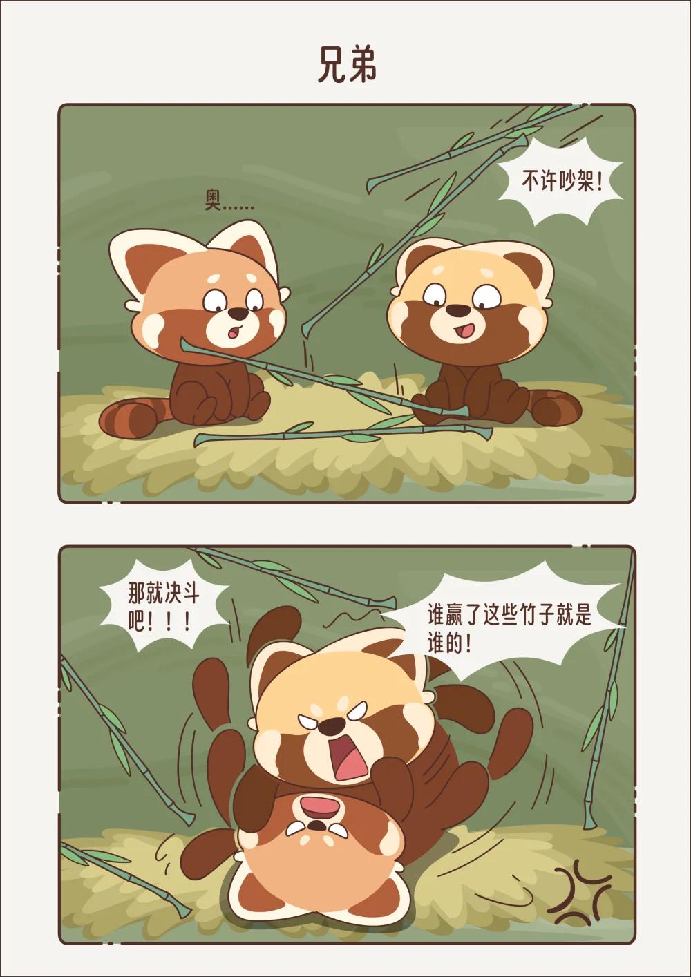 《小熊猫与哈士奇》第十八回 兄弟 第5页
