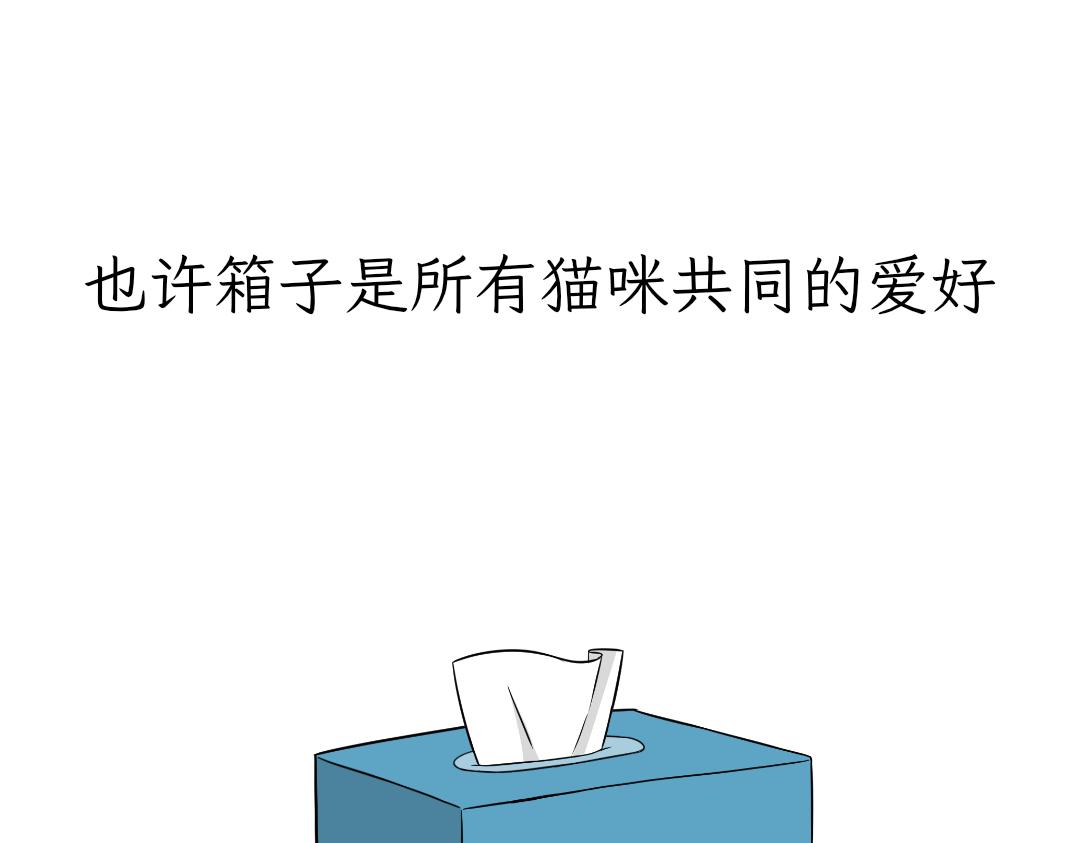 《吐司猫咪POUNDCAT》热可可的爱好 第11页