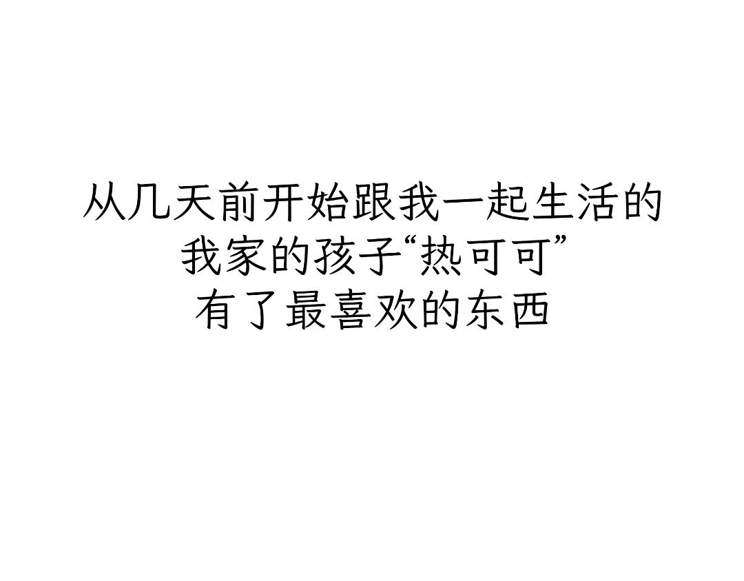 《吐司猫咪POUNDCAT》热可可的爱好 第1页