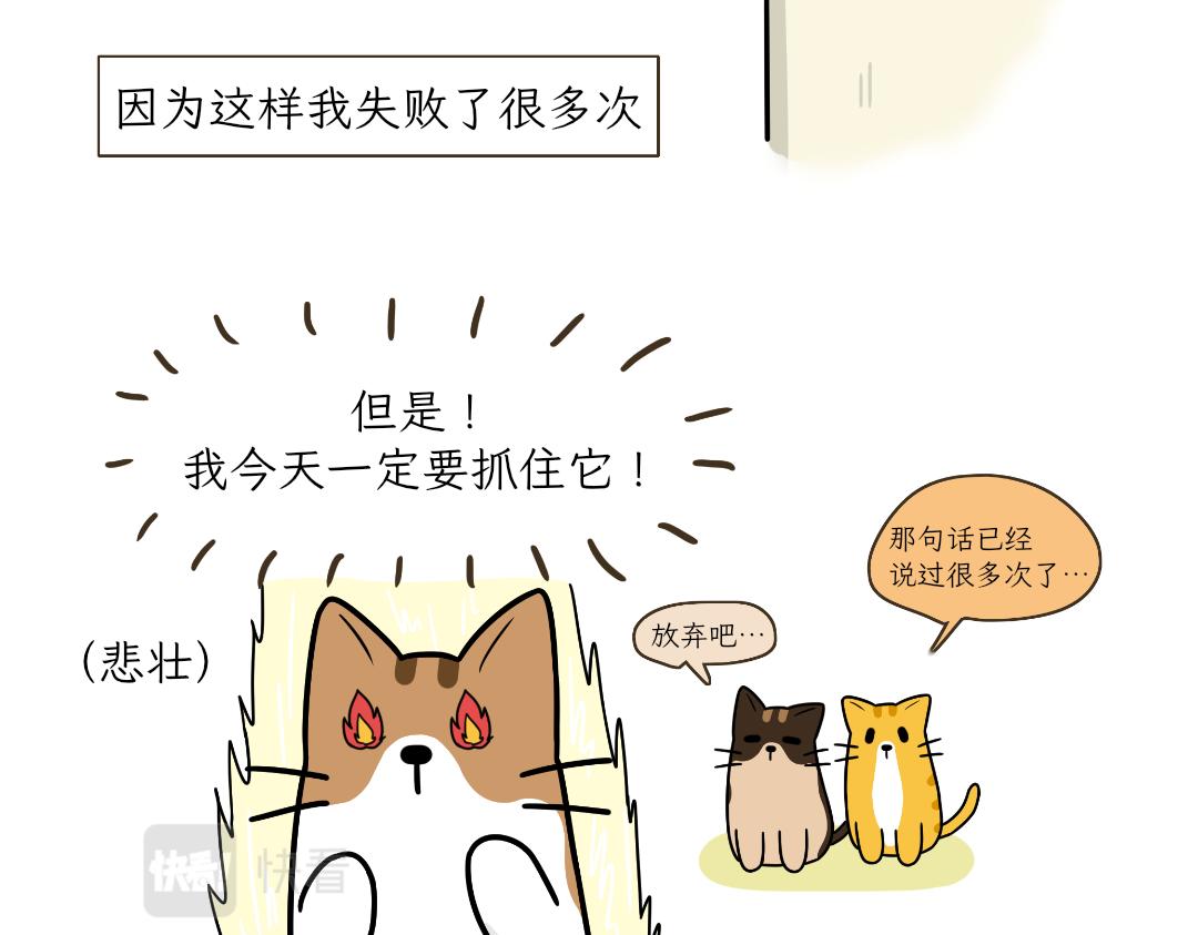 《吐司猫咪POUNDCAT》热可可的爱好 第23页