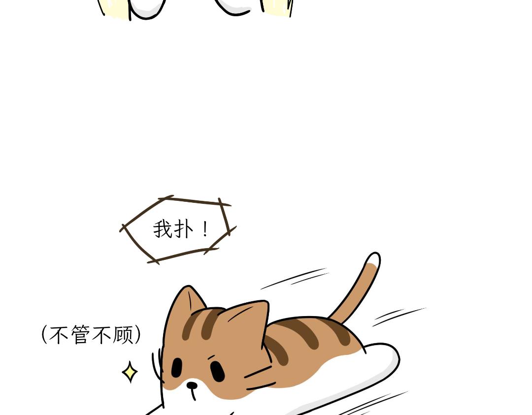 《吐司猫咪POUNDCAT》热可可的爱好 第24页