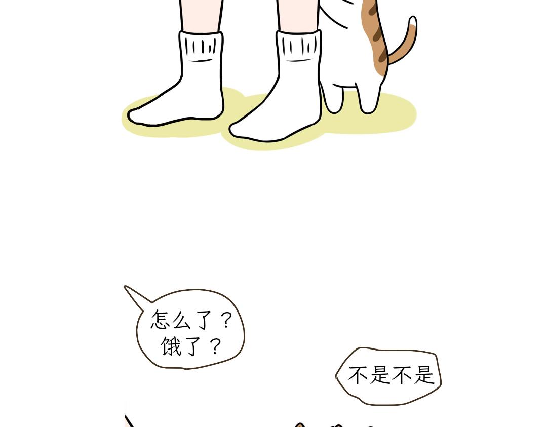 《吐司猫咪POUNDCAT》热可可的爱好 第26页