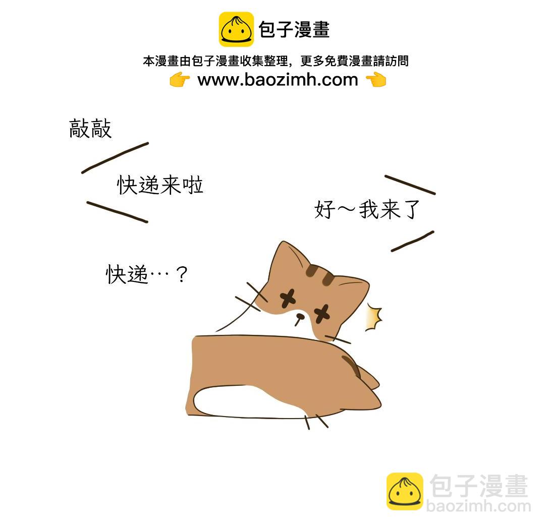 《吐司猫咪POUNDCAT》热可可的爱好 第2页