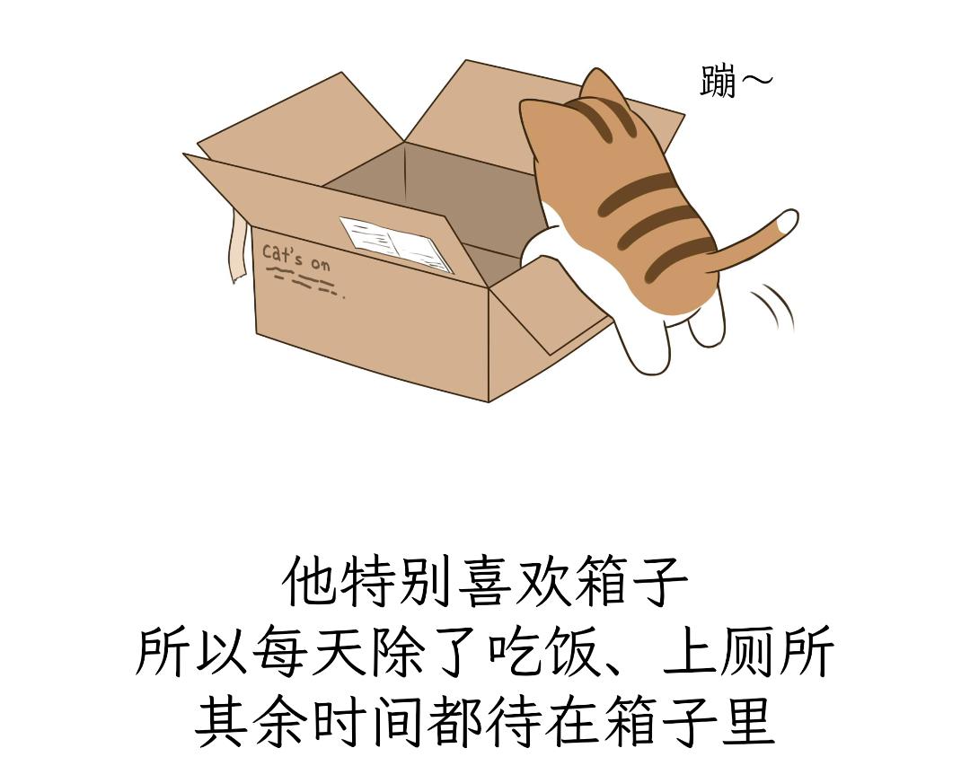 《吐司猫咪POUNDCAT》热可可的爱好 第7页