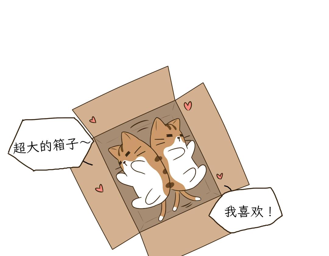 《吐司猫咪POUNDCAT》热可可的爱好 第8页