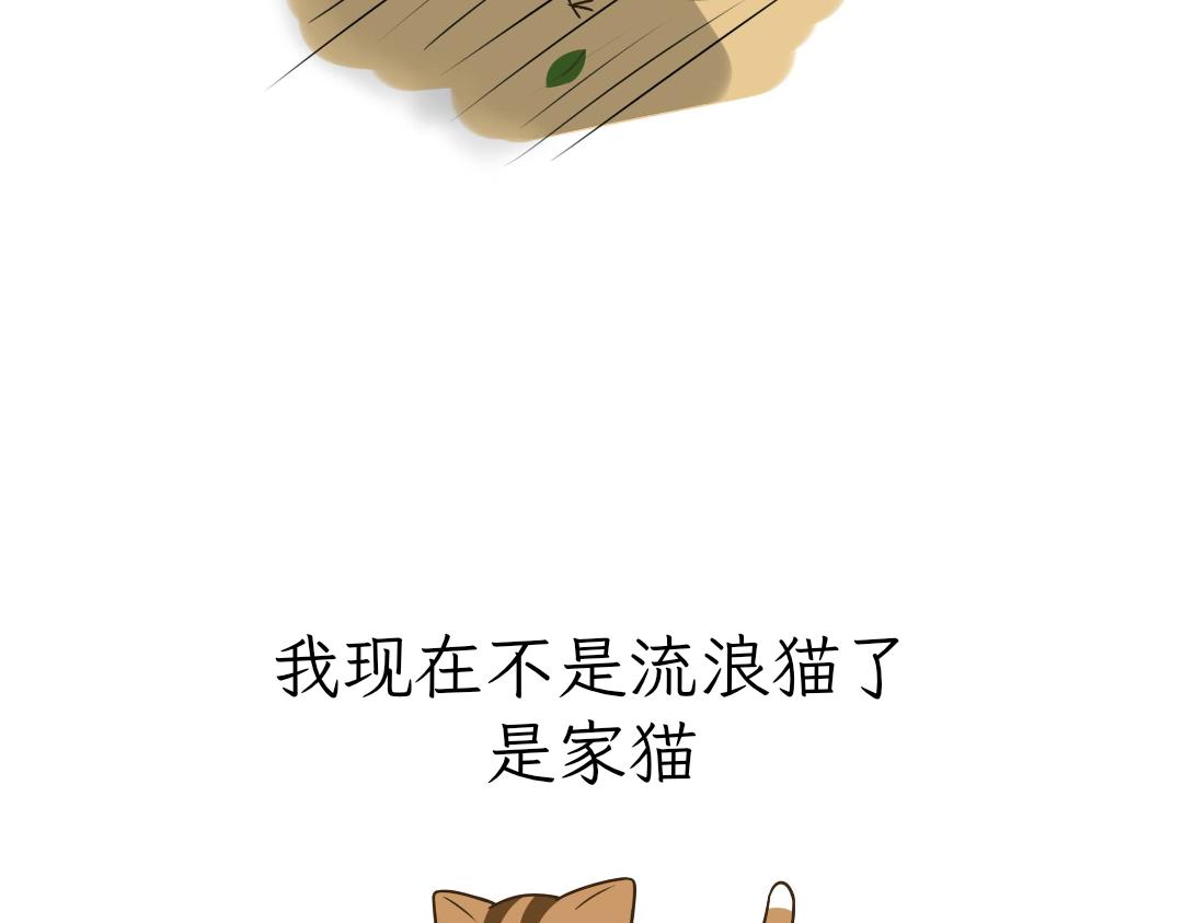 《吐司猫咪POUNDCAT》和热可可一起的新生活 第16页