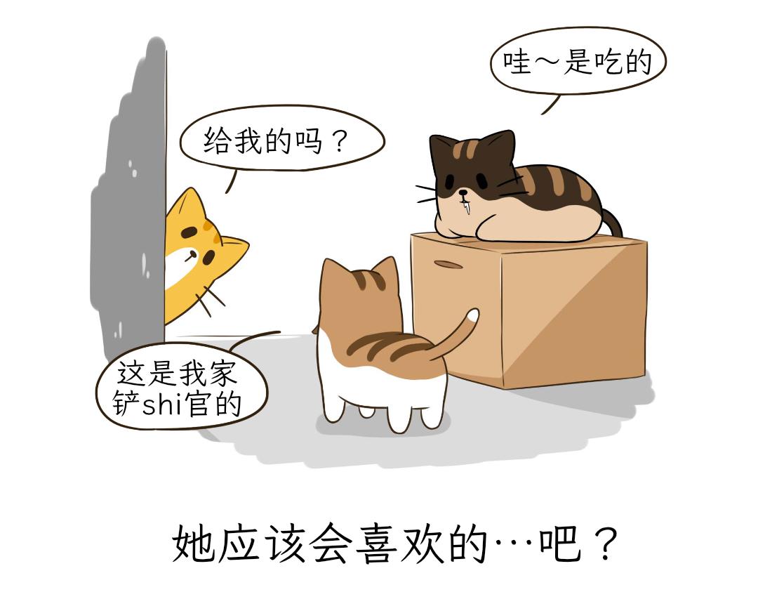《吐司猫咪POUNDCAT》和热可可一起的新生活 第19页