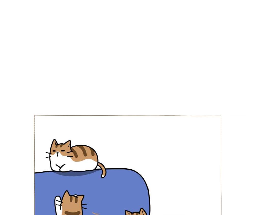 《吐司猫咪POUNDCAT》和热可可一起的新生活 第1页