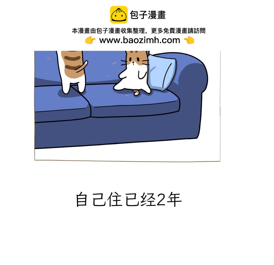 《吐司猫咪POUNDCAT》和热可可一起的新生活 第2页