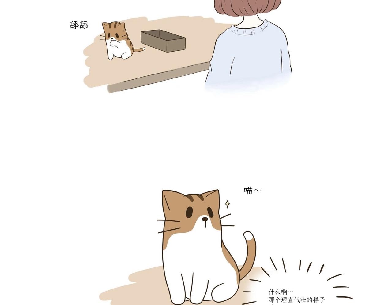《吐司猫咪POUNDCAT》我们的初遇 第11页