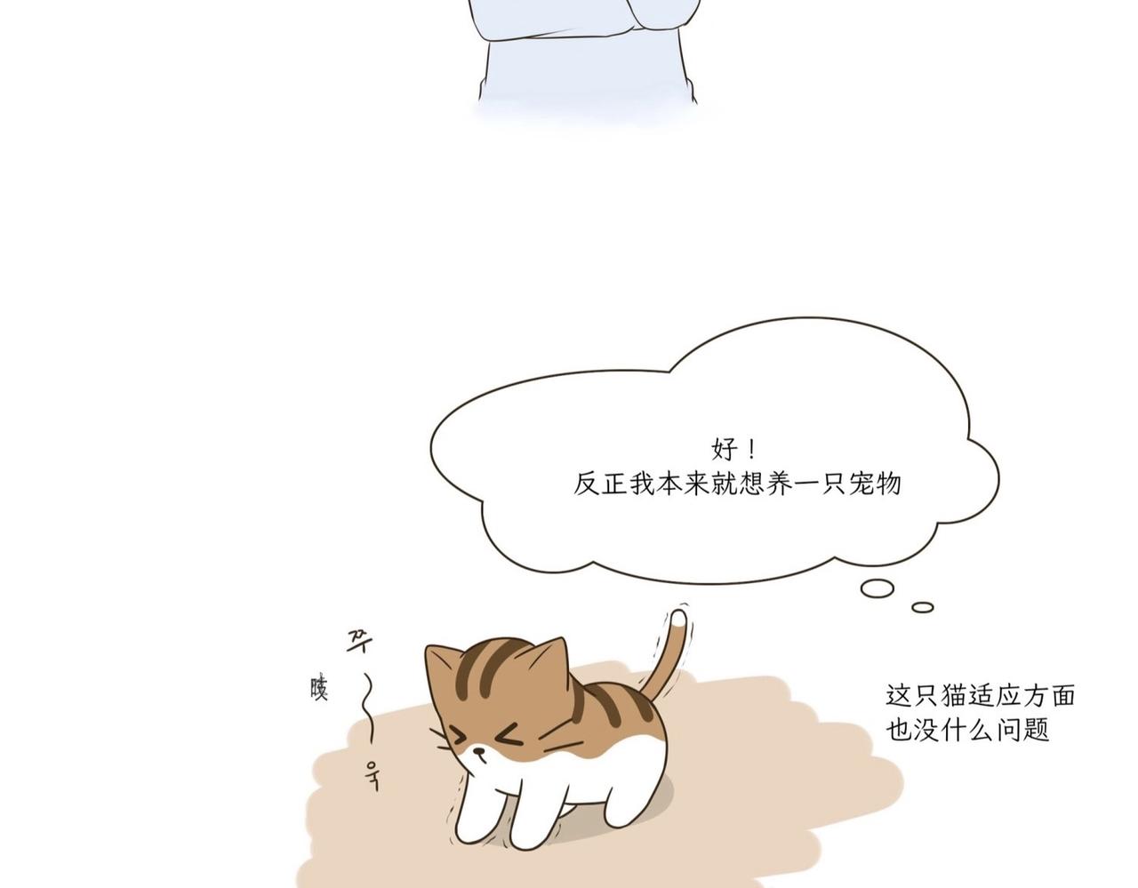 《吐司猫咪POUNDCAT》我们的初遇 第13页