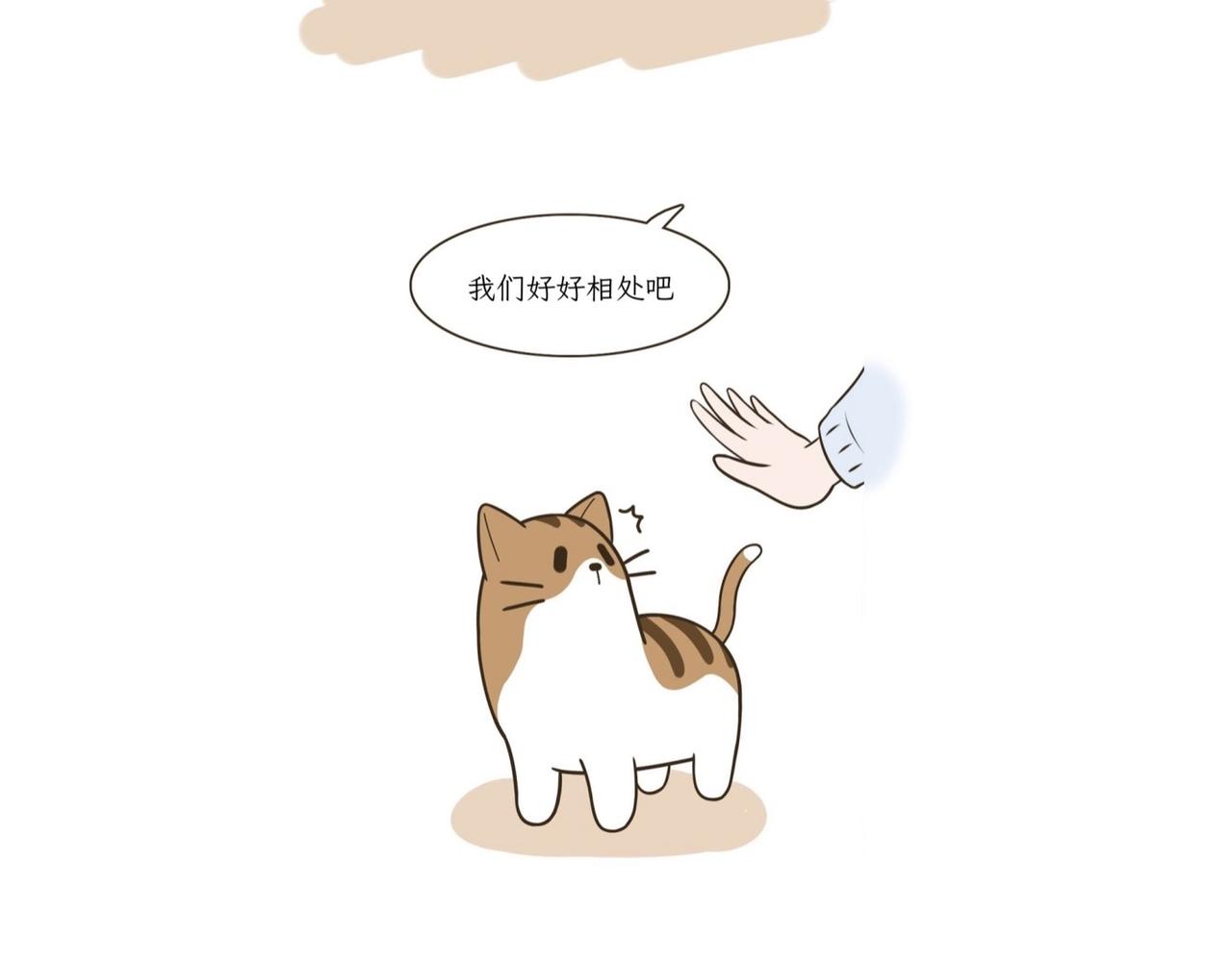 《吐司猫咪POUNDCAT》我们的初遇 第14页