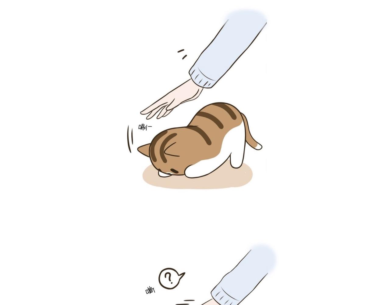 《吐司猫咪POUNDCAT》我们的初遇 第15页