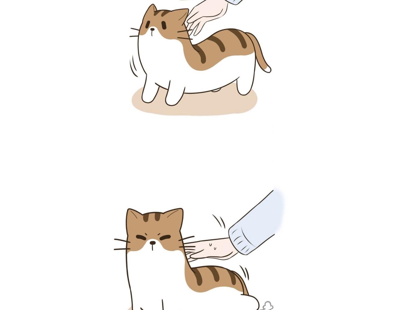 《吐司猫咪POUNDCAT》我们的初遇 第16页