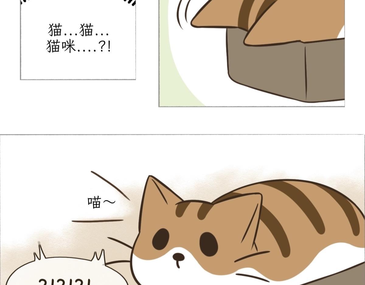 《吐司猫咪POUNDCAT》我们的初遇 第7页