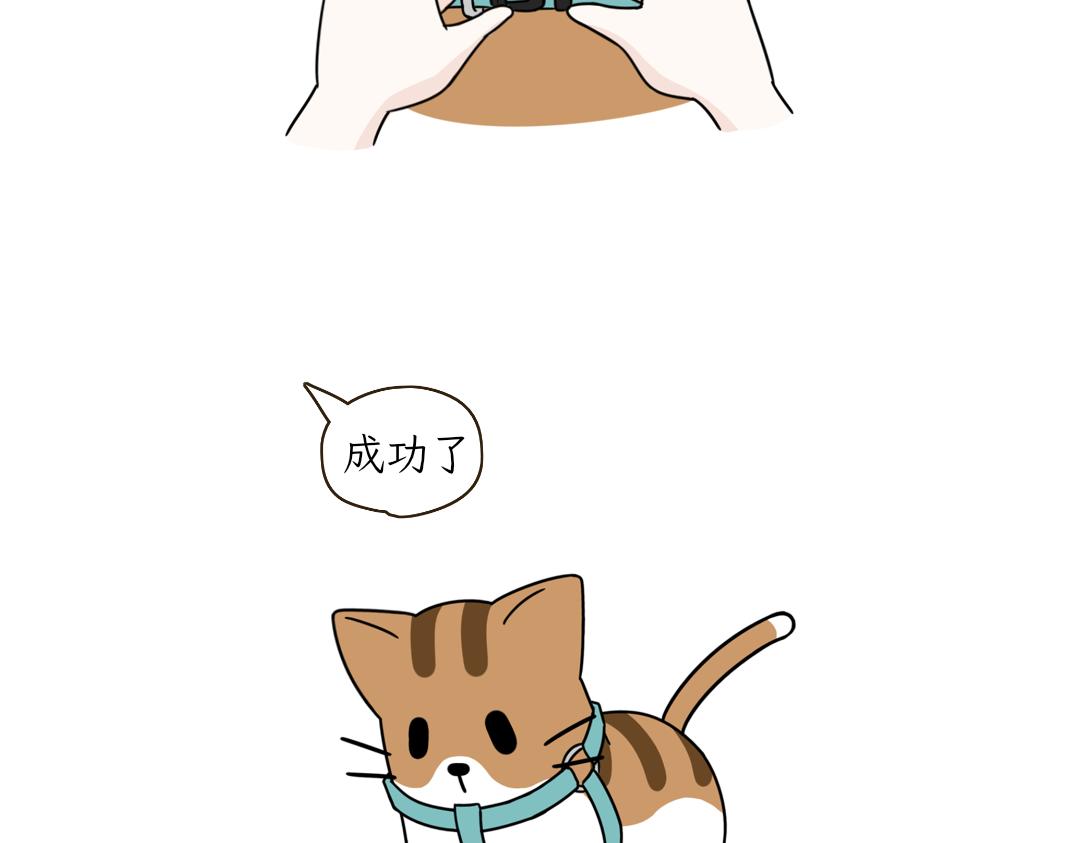 《吐司猫咪POUNDCAT》铲shi官的恶趣味 第10页