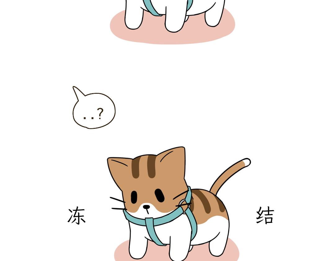 《吐司猫咪POUNDCAT》铲shi官的恶趣味 第11页