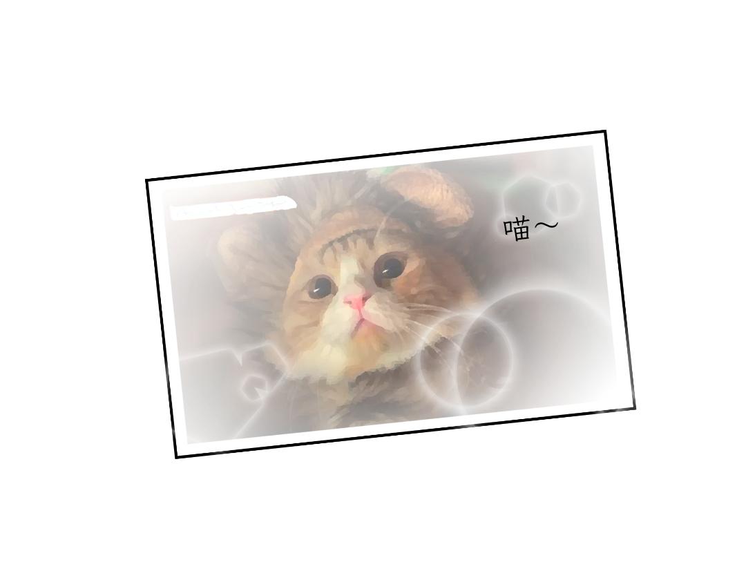《吐司猫咪POUNDCAT》铲shi官的恶趣味 第16页