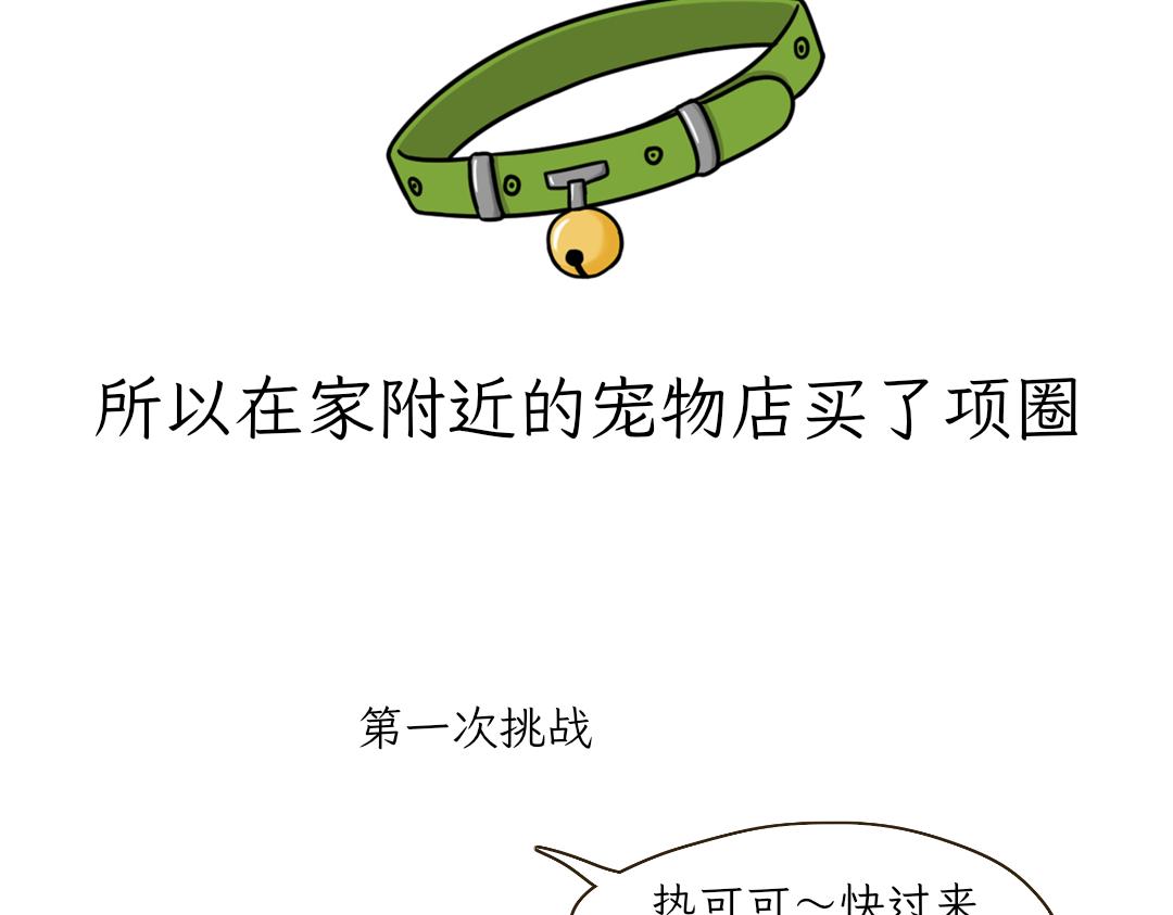 《吐司猫咪POUNDCAT》铲shi官的恶趣味 第3页