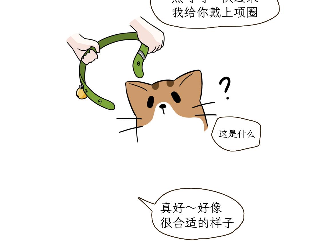 《吐司猫咪POUNDCAT》铲shi官的恶趣味 第4页
