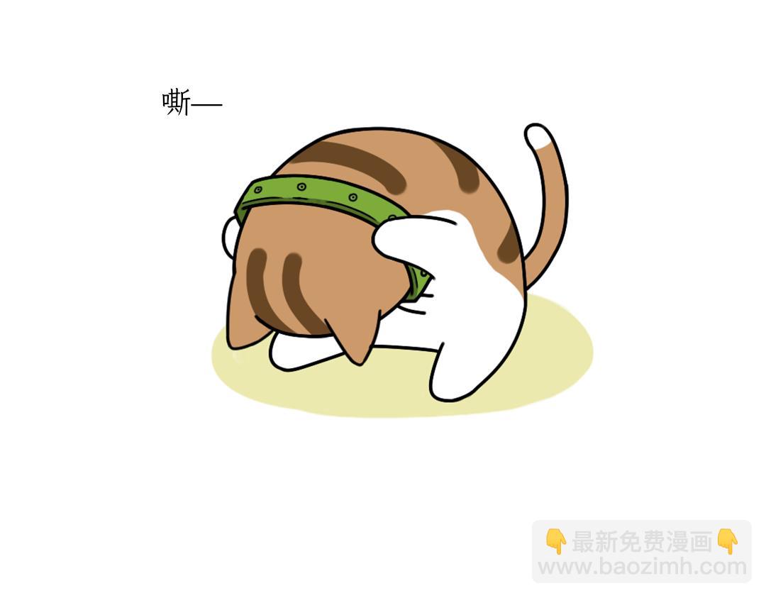 《吐司猫咪POUNDCAT》铲shi官的恶趣味 第6页