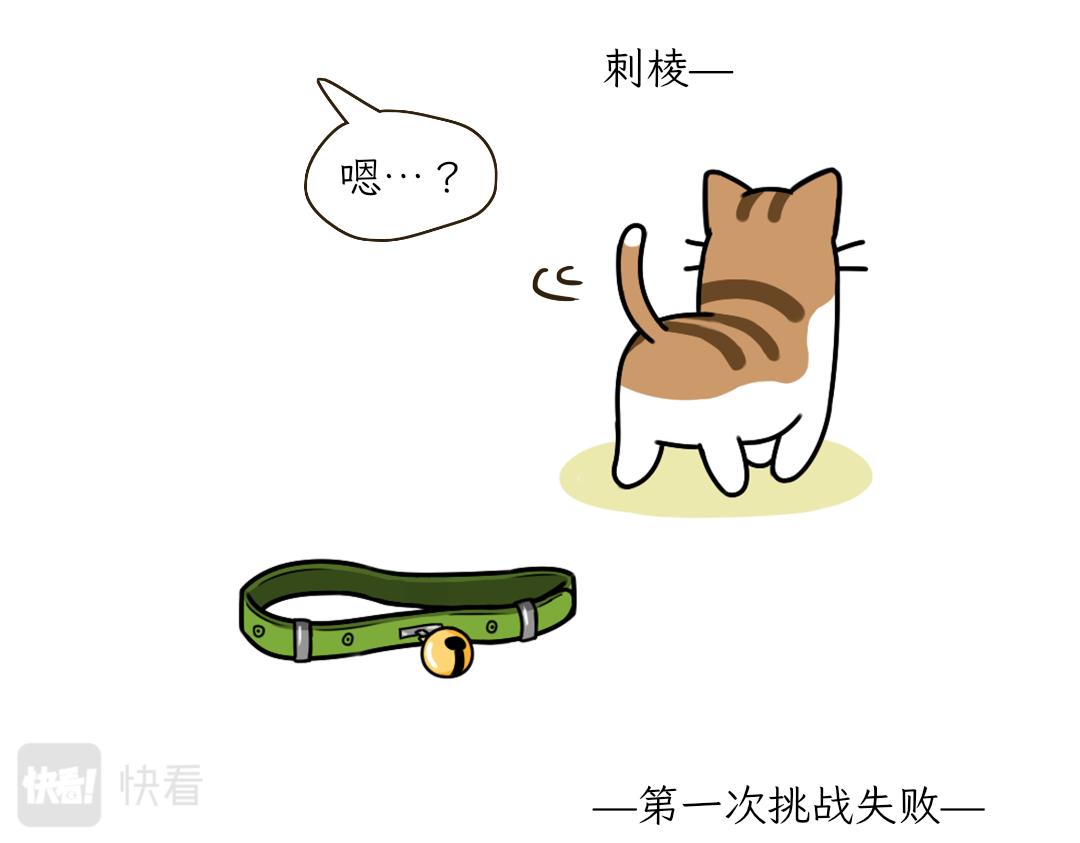 《吐司猫咪POUNDCAT》铲shi官的恶趣味 第7页