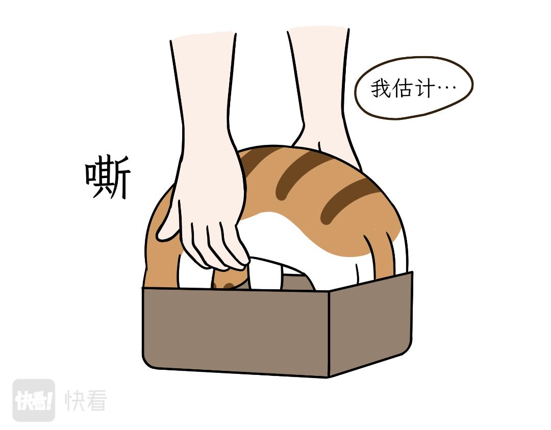 《吐司猫咪POUNDCAT》危机事件 第15页