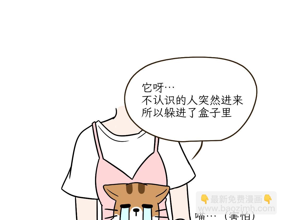 《吐司猫咪POUNDCAT》危机事件 第16页