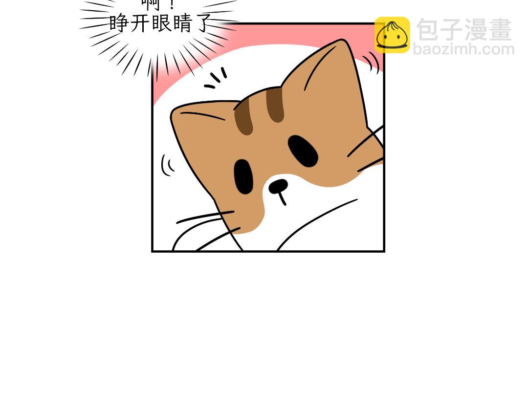 《吐司猫咪POUNDCAT》相爱相杀 第27页