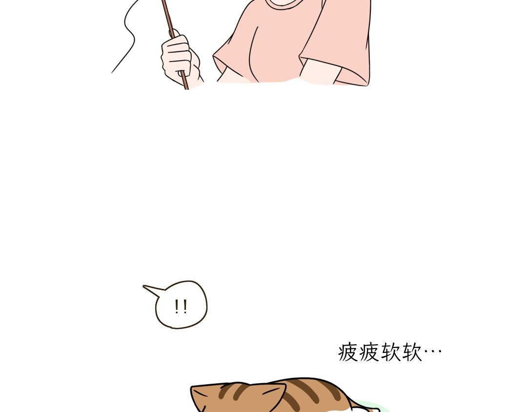 《吐司猫咪POUNDCAT》相爱相杀 第3页