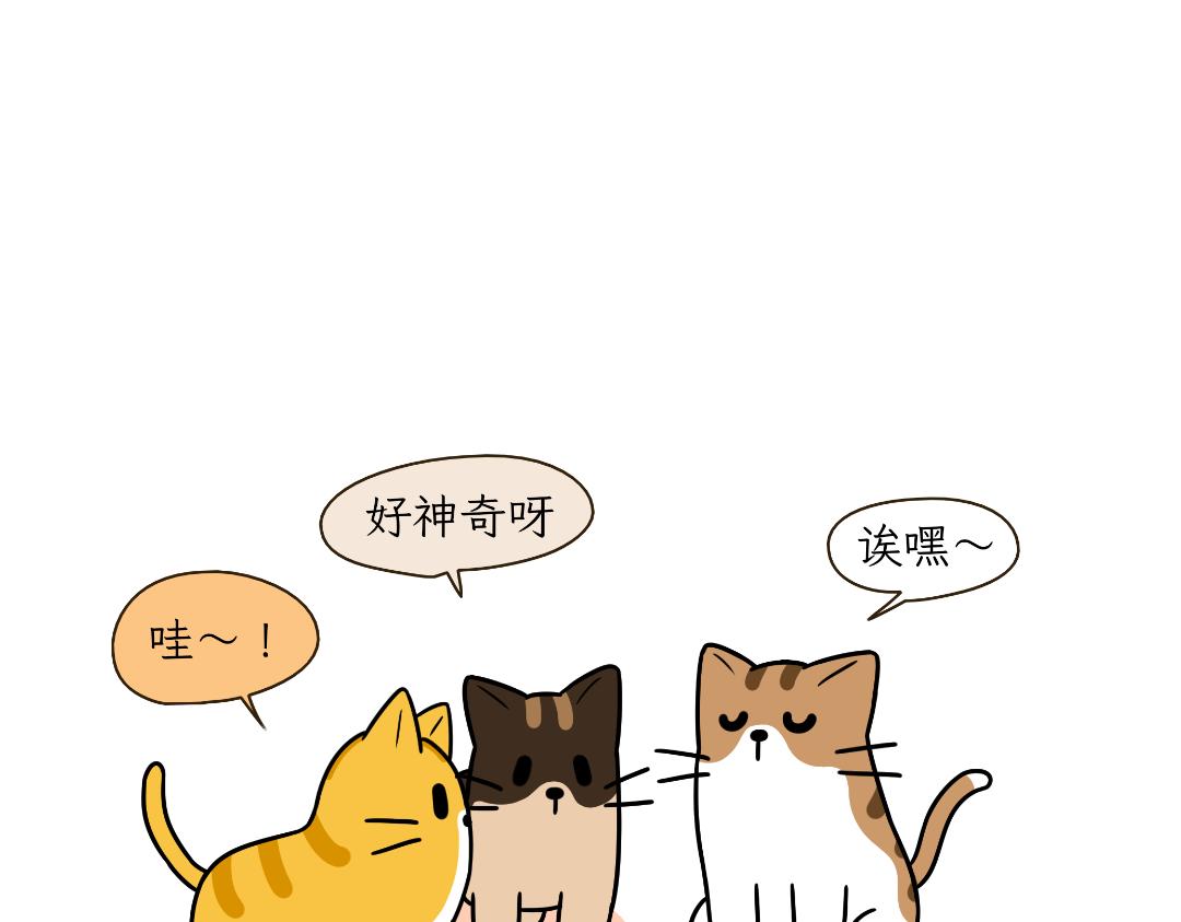 《吐司猫咪POUNDCAT》多猫家庭的日常 第12页
