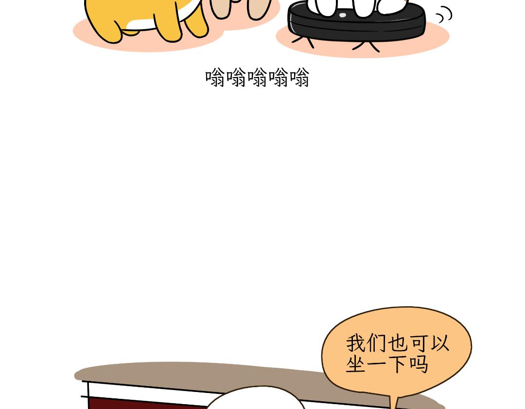 《吐司猫咪POUNDCAT》多猫家庭的日常 第13页