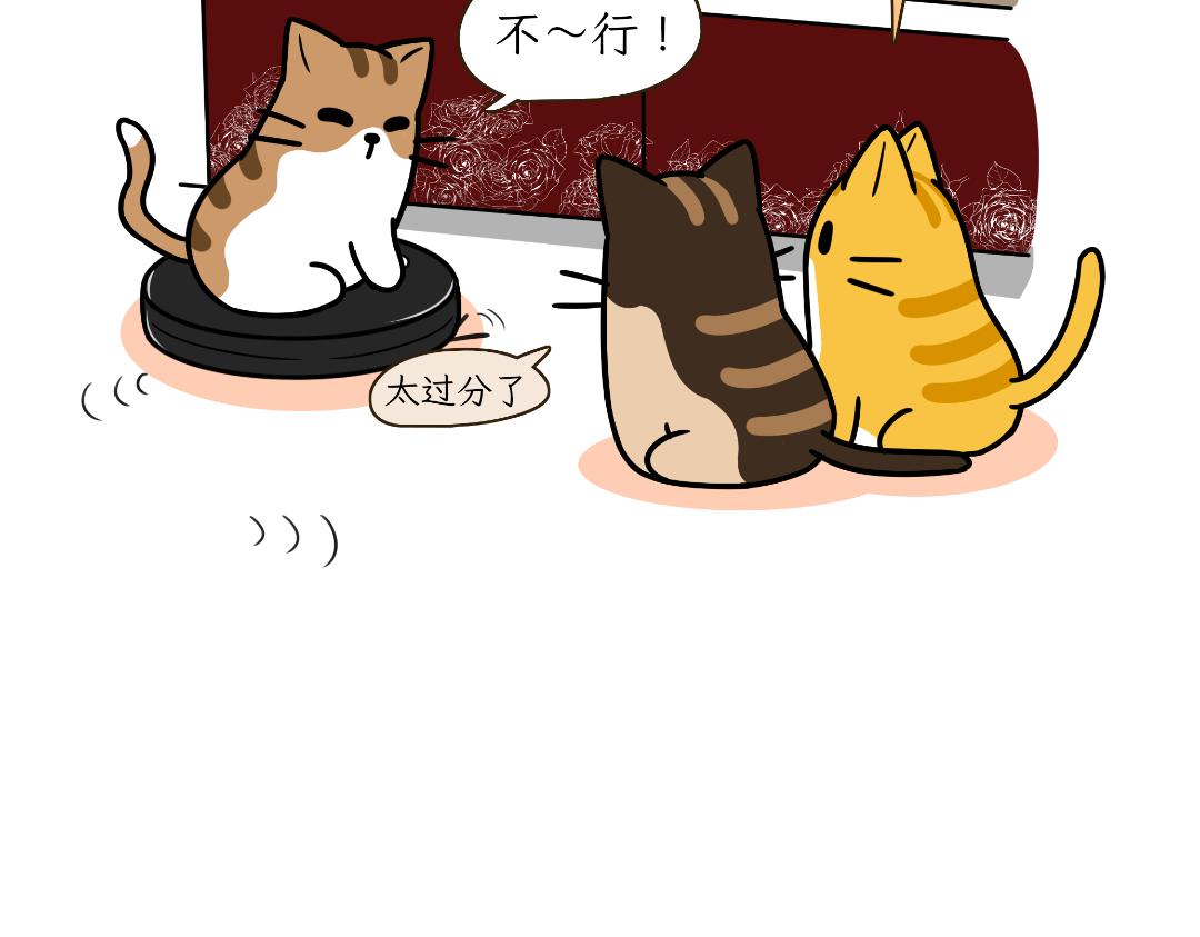 《吐司猫咪POUNDCAT》多猫家庭的日常 第14页