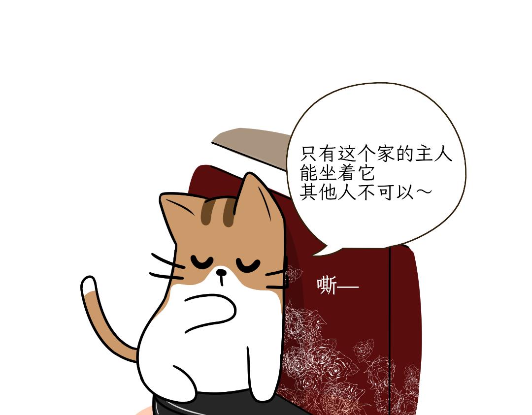 《吐司猫咪POUNDCAT》多猫家庭的日常 第15页