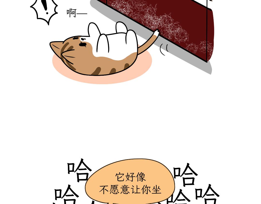 《吐司猫咪POUNDCAT》多猫家庭的日常 第17页