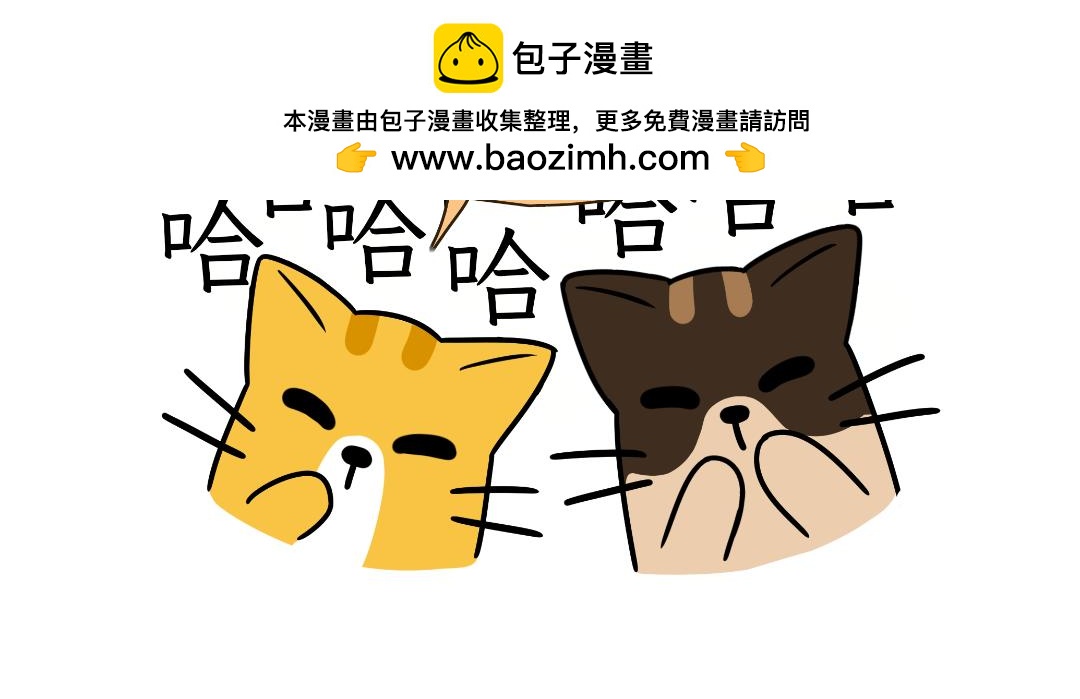 《吐司猫咪POUNDCAT》多猫家庭的日常 第18页