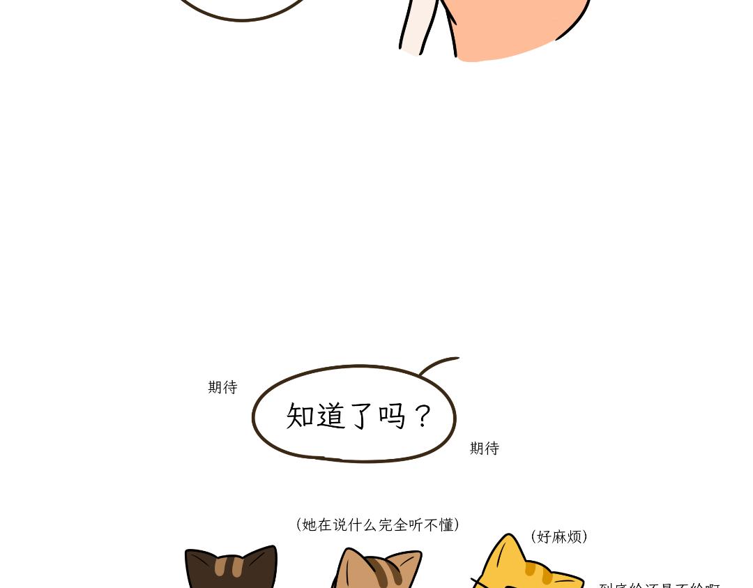 《吐司猫咪POUNDCAT》多猫家庭的日常 第22页