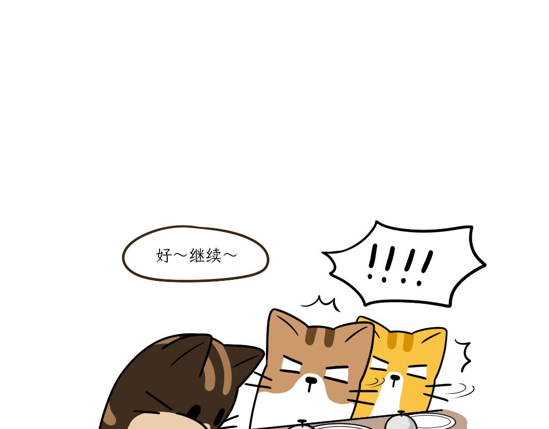 《吐司猫咪POUNDCAT》多猫家庭的日常 第25页