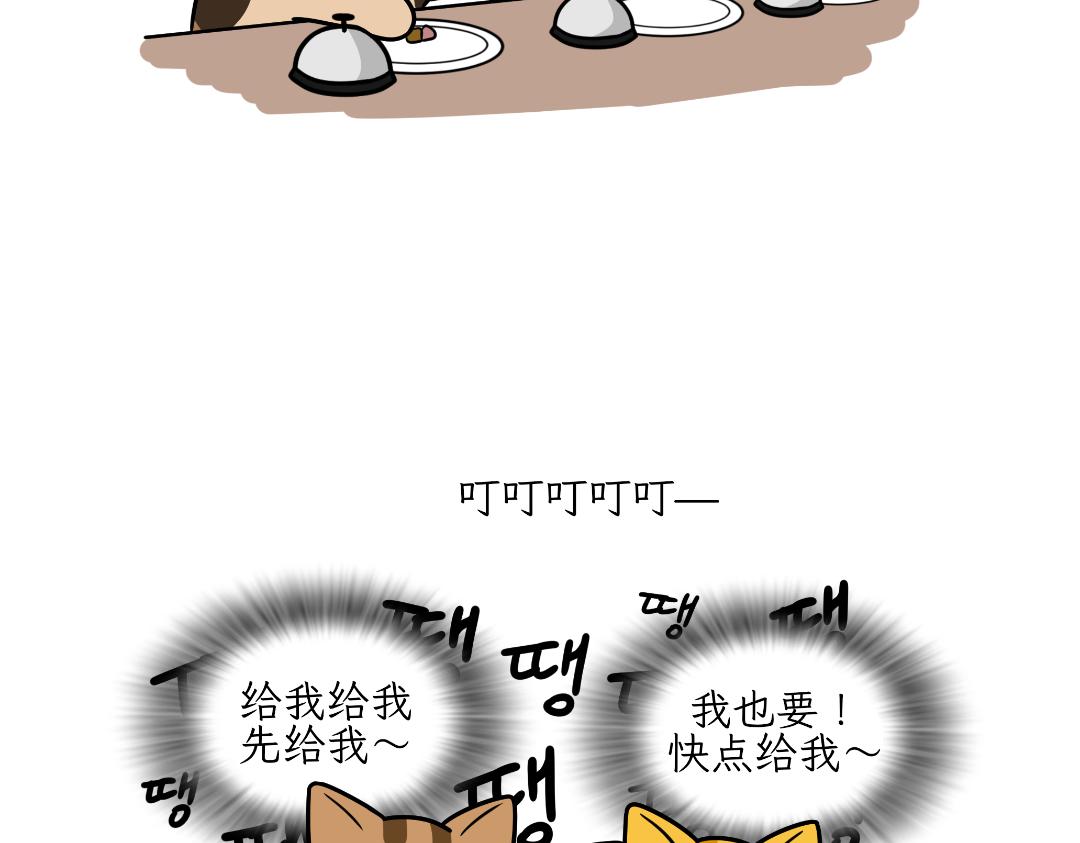 《吐司猫咪POUNDCAT》多猫家庭的日常 第26页