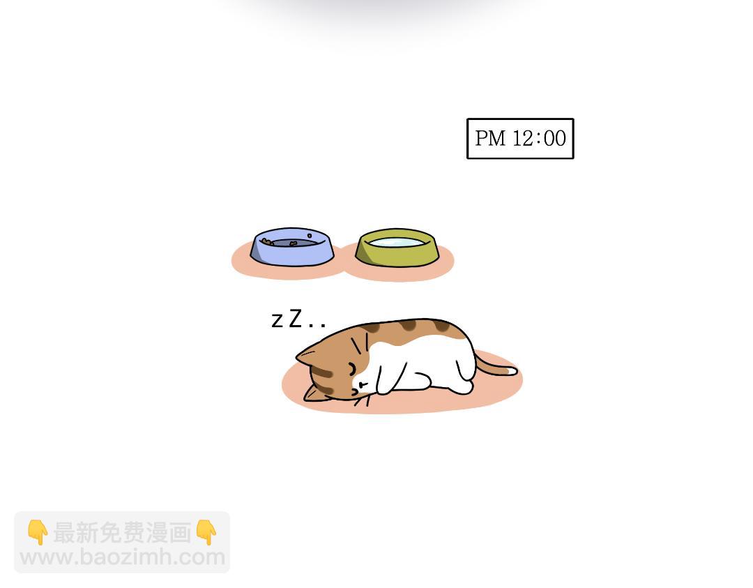 《吐司猫咪POUNDCAT》多猫家庭的日常 第3页