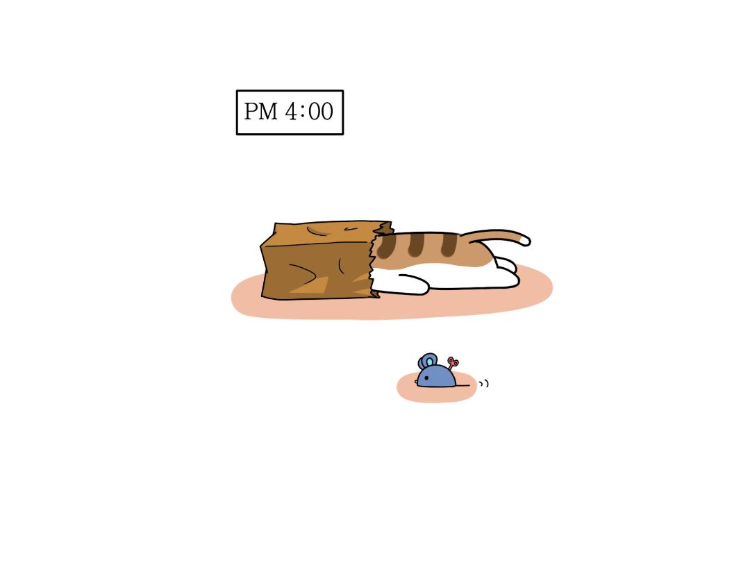 《吐司猫咪POUNDCAT》多猫家庭的日常 第4页