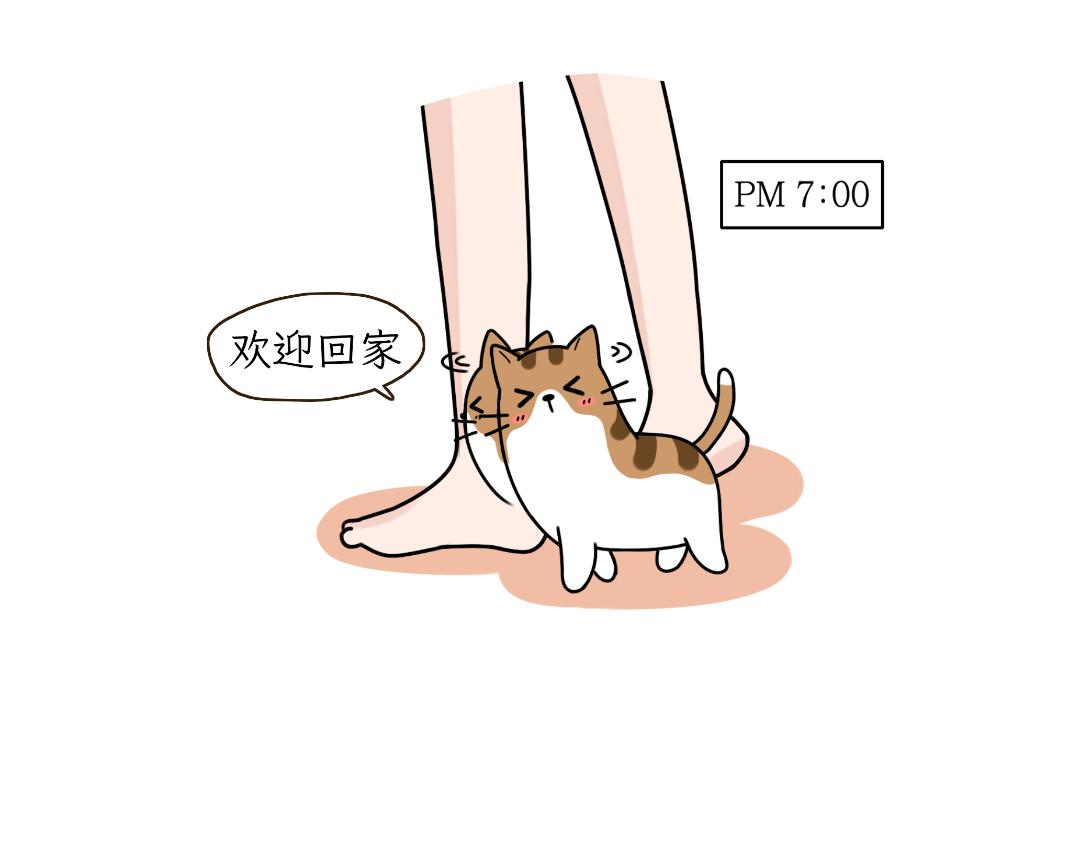 《吐司猫咪POUNDCAT》多猫家庭的日常 第5页