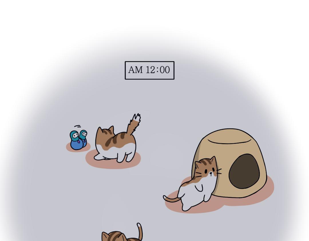 《吐司猫咪POUNDCAT》多猫家庭的日常 第6页