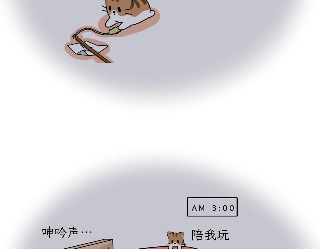 《吐司猫咪POUNDCAT》多猫家庭的日常 第7页