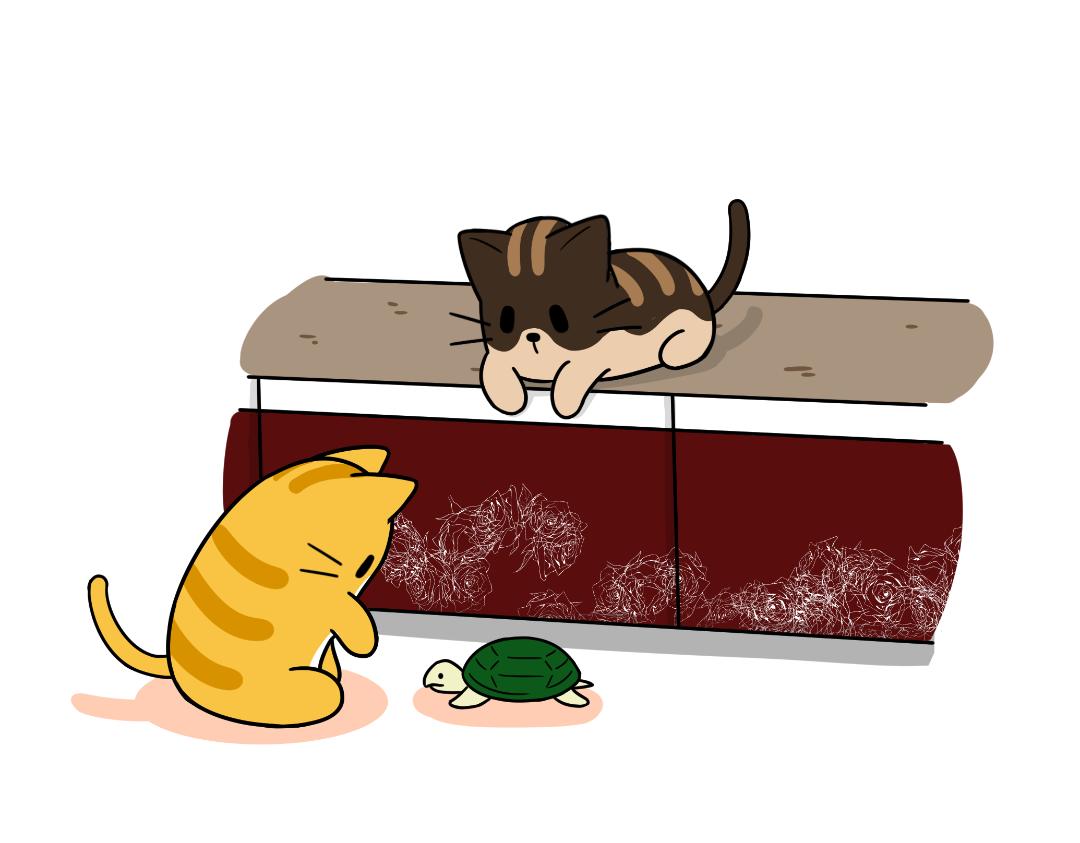 《吐司猫咪POUNDCAT》多猫家庭的日常 第9页