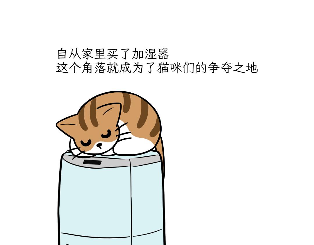 《吐司猫咪POUNDCAT》生活碎片 第12页