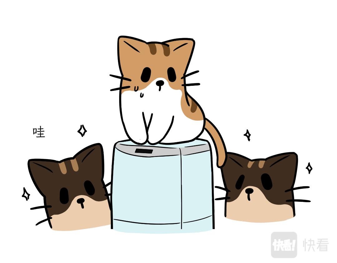 《吐司猫咪POUNDCAT》生活碎片 第15页