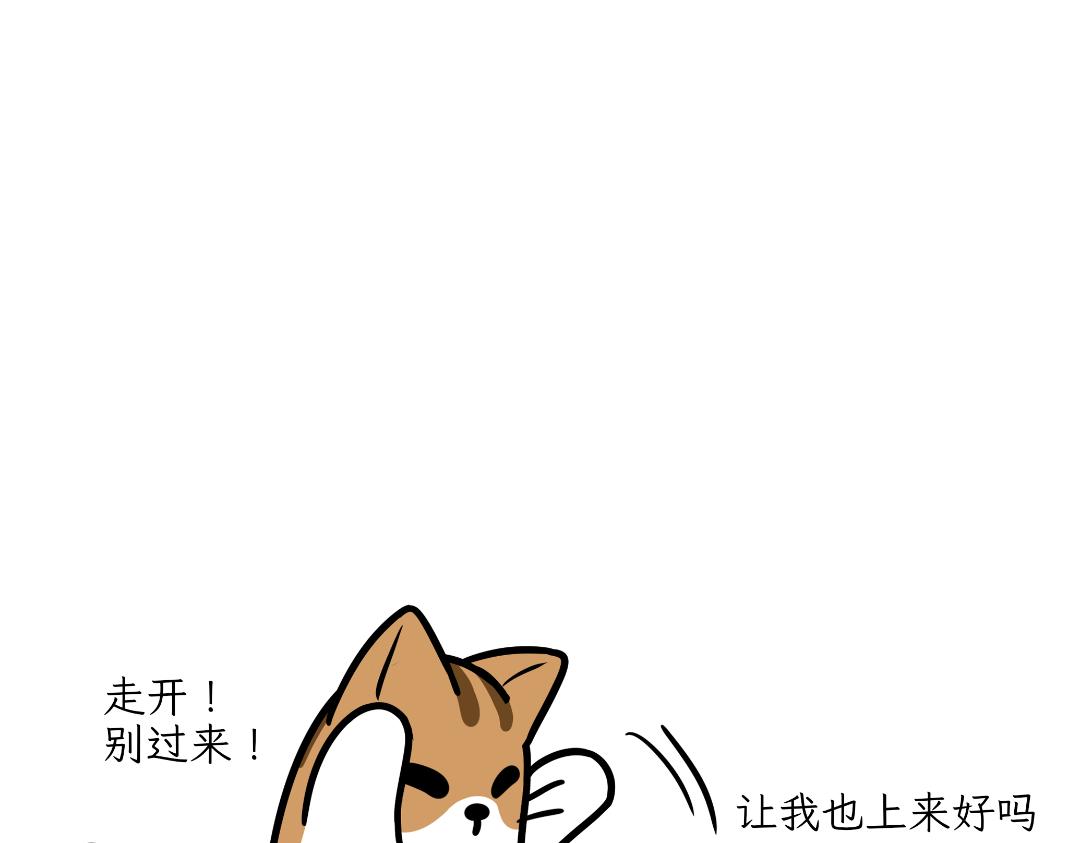 《吐司猫咪POUNDCAT》生活碎片 第16页