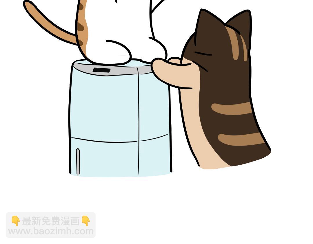 《吐司猫咪POUNDCAT》生活碎片 第17页