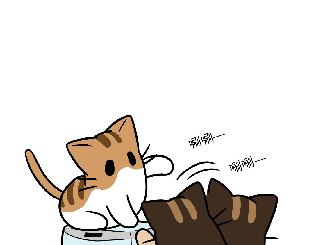 《吐司猫咪POUNDCAT》生活碎片 第18页